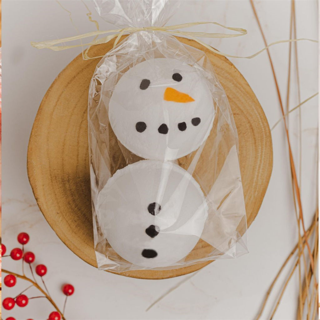 Workshops: Crafting Enchantment- Natural Beauty Holiday Workshop